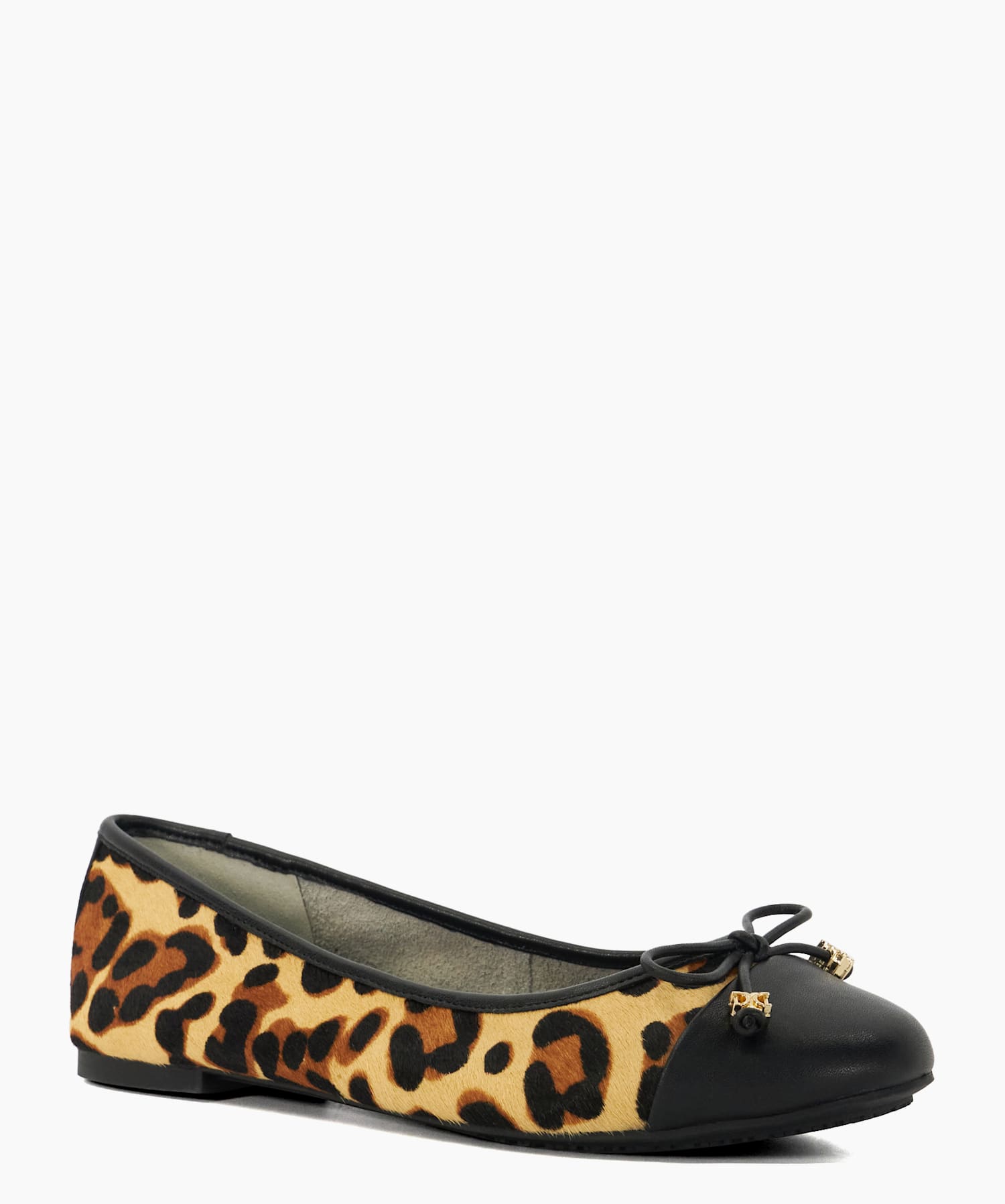 Hallo Leopard