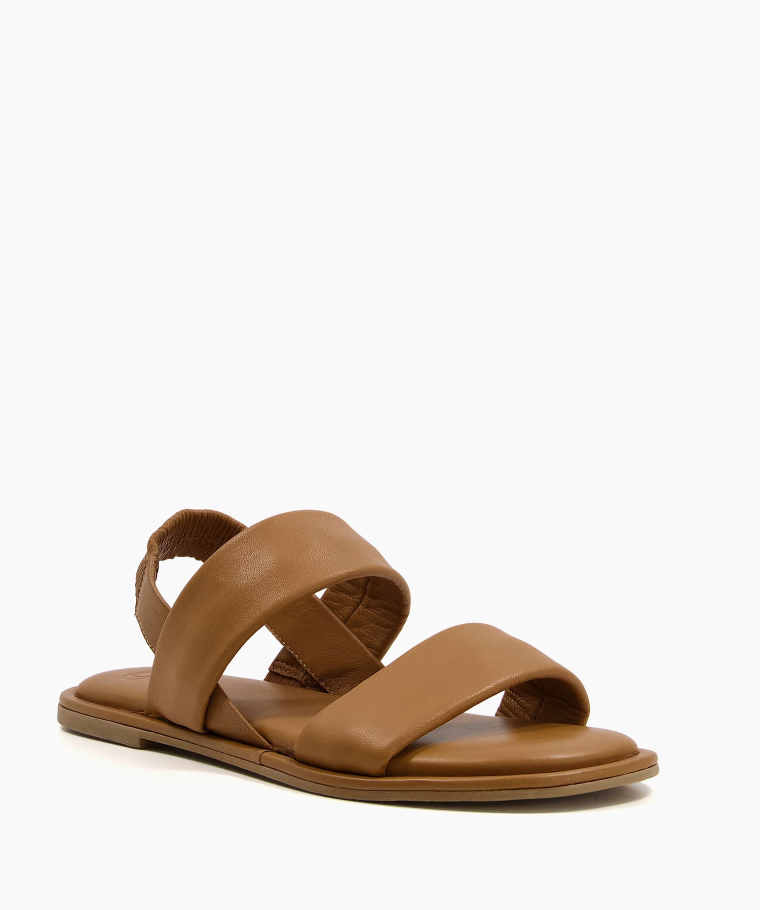 Laude Camel