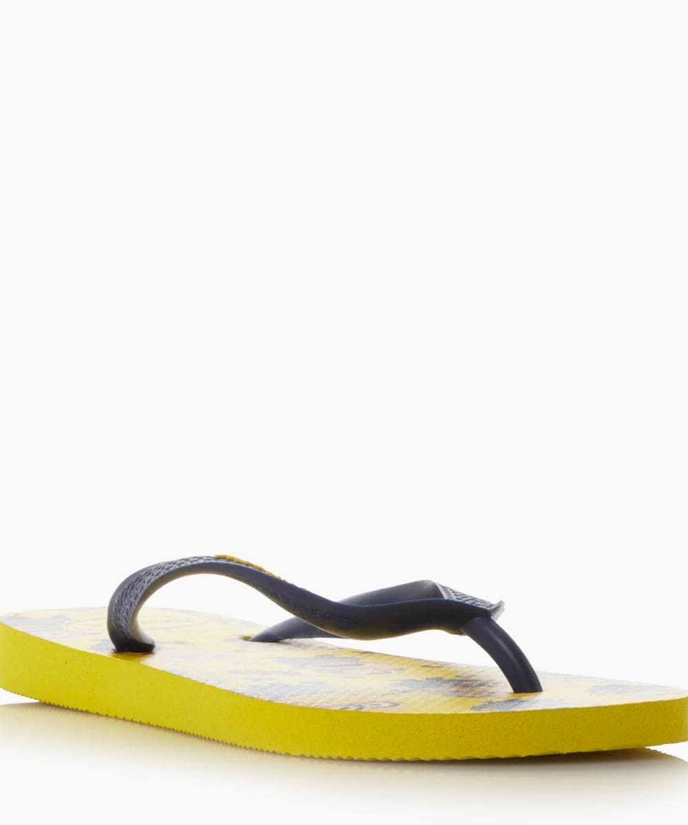 Flip flops next day delivery online