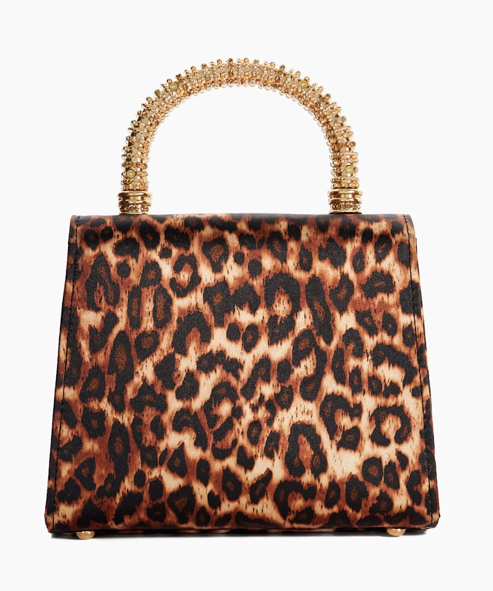 Bolenna Leopard Brooch Detail Top Handle Bag Dune London