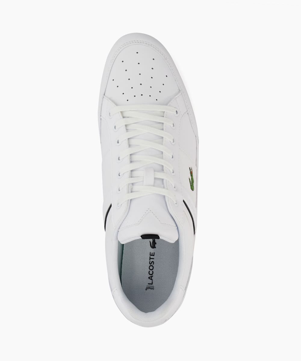 Tenis lacoste chaymon deals