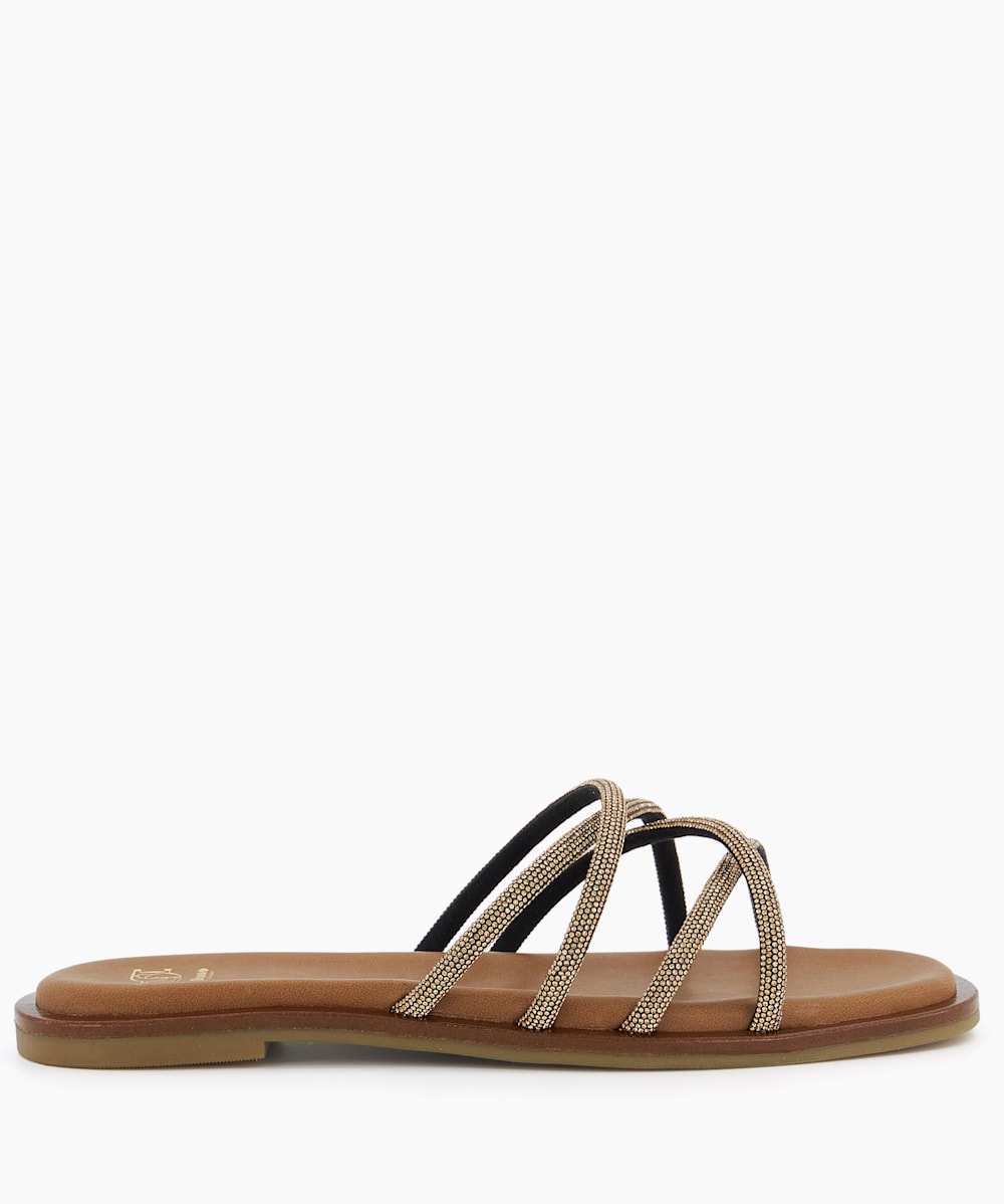 Lilybet Bronze