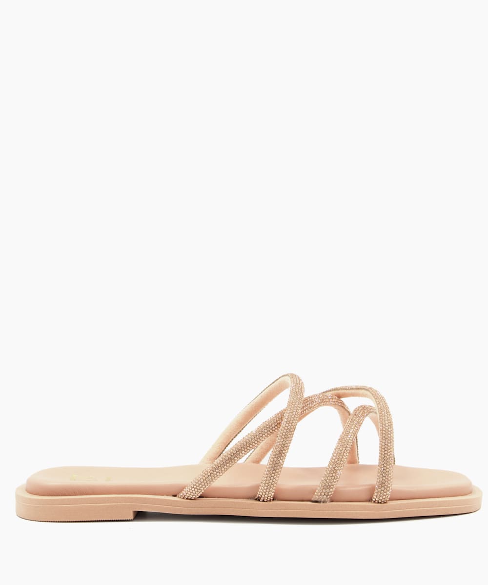 Lilybet Blush