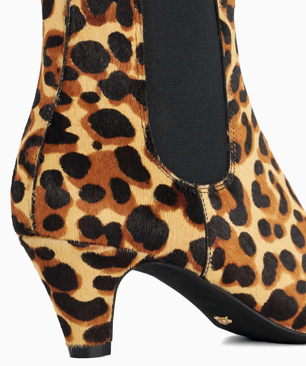 Obvious Leopard