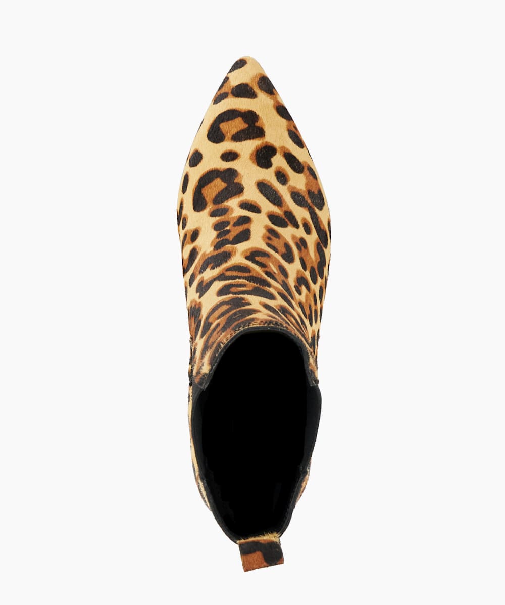 Obvious Leopard