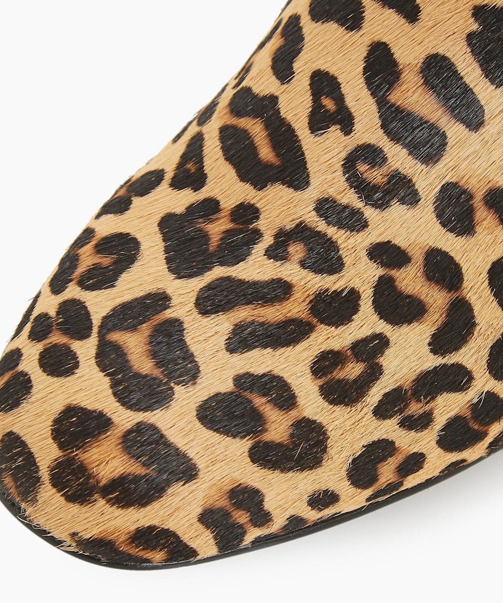 Olyvea Leopard