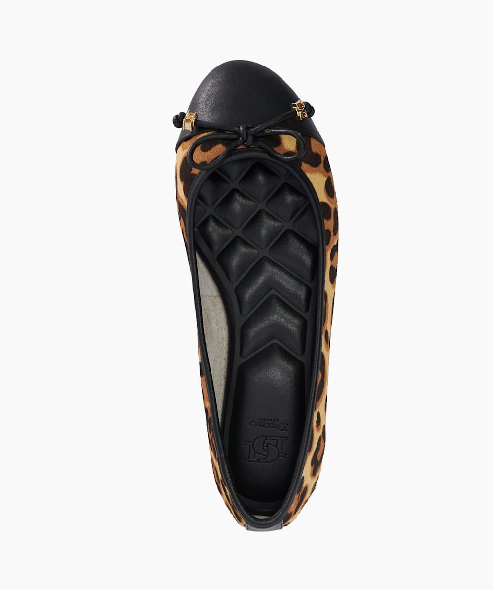 Hallo Leopard