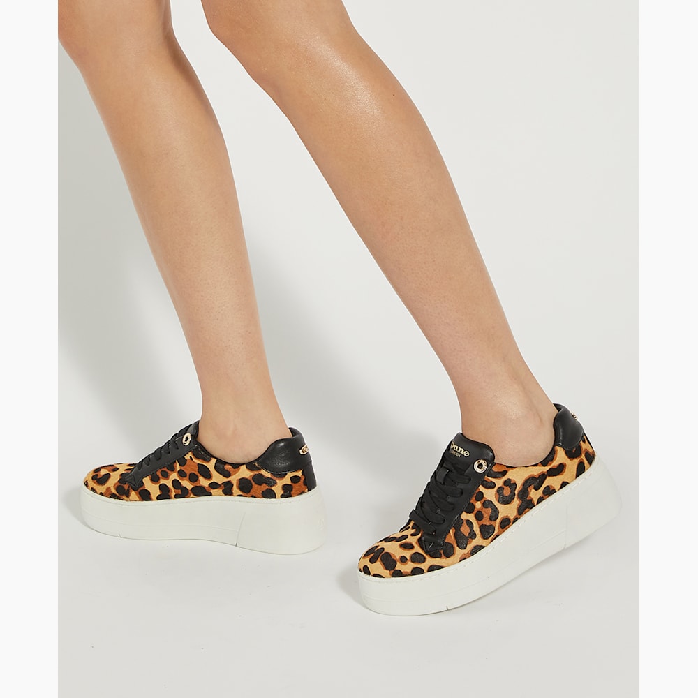 Episode Leopard