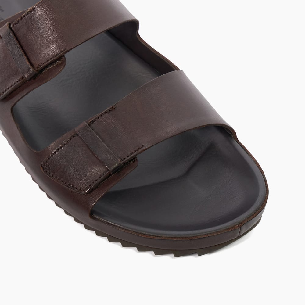 Intells Brown