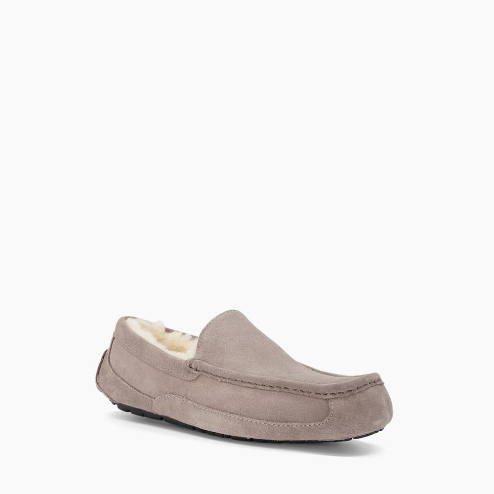 Ugg ascot wool on sale