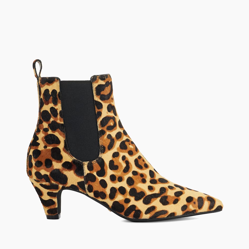 Obvious Leopard