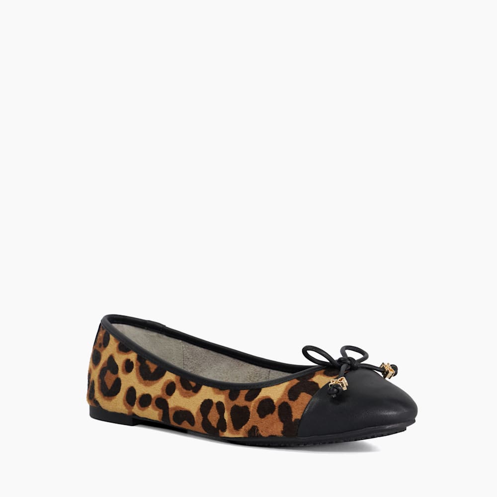 Hallo Leopard