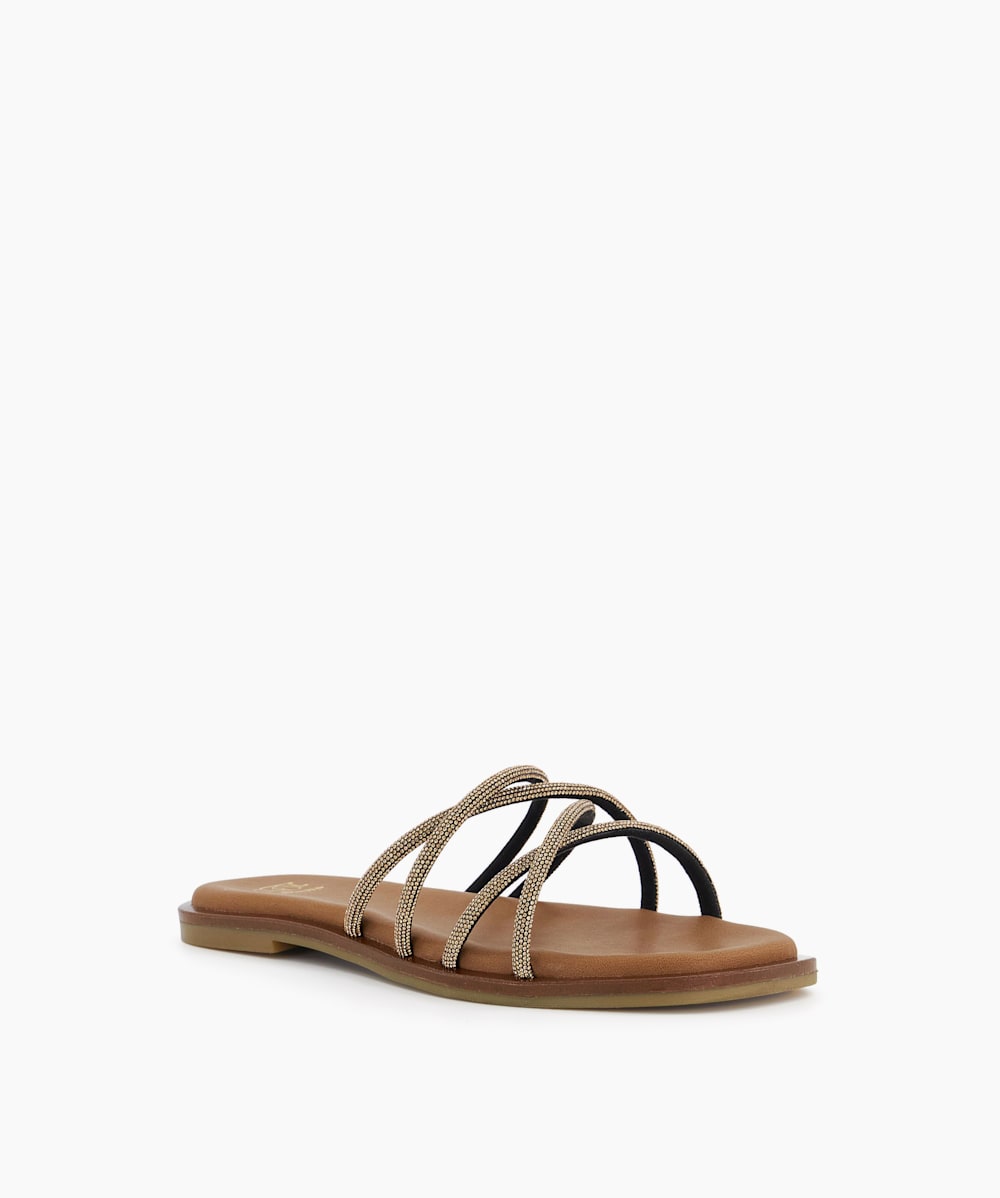 Lilybet Bronze