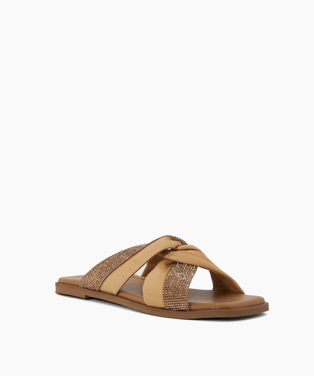 Lossey Camel