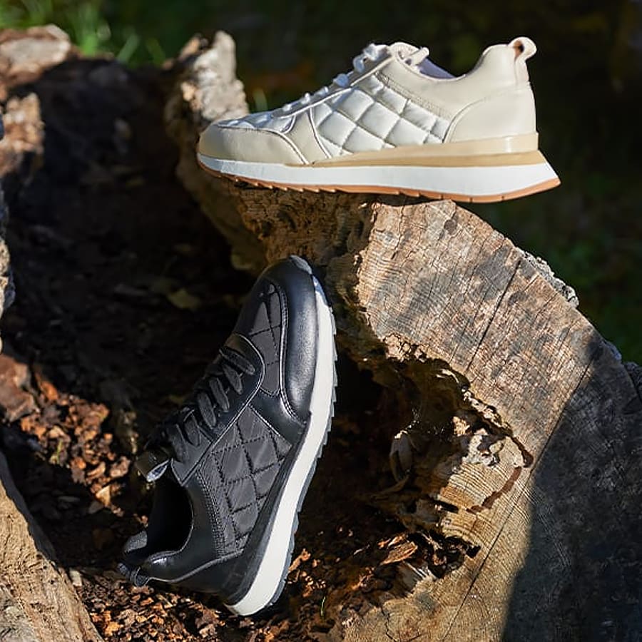 The Dune Recycled Range trainers