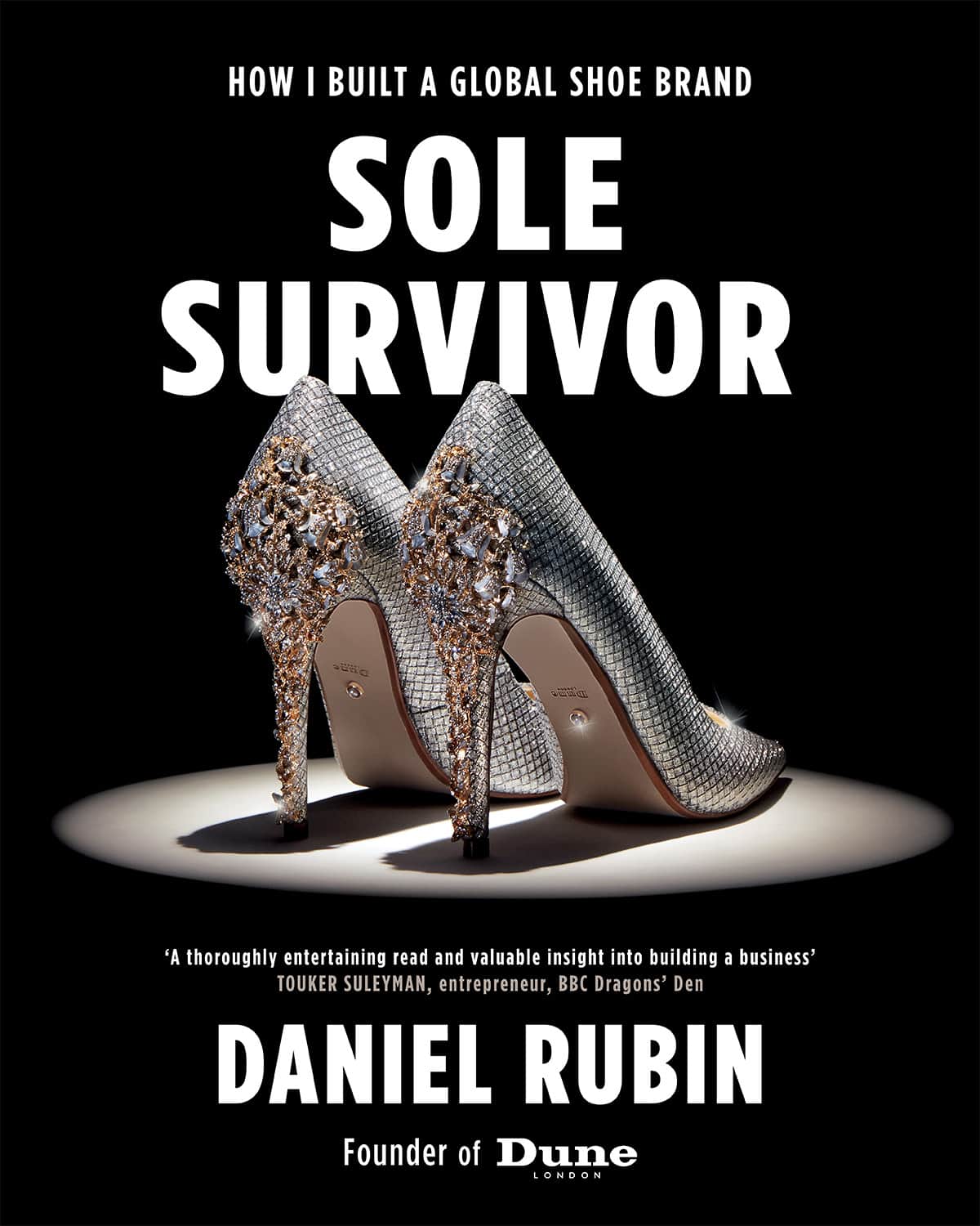 Sole Survivor by Daniel Rubin