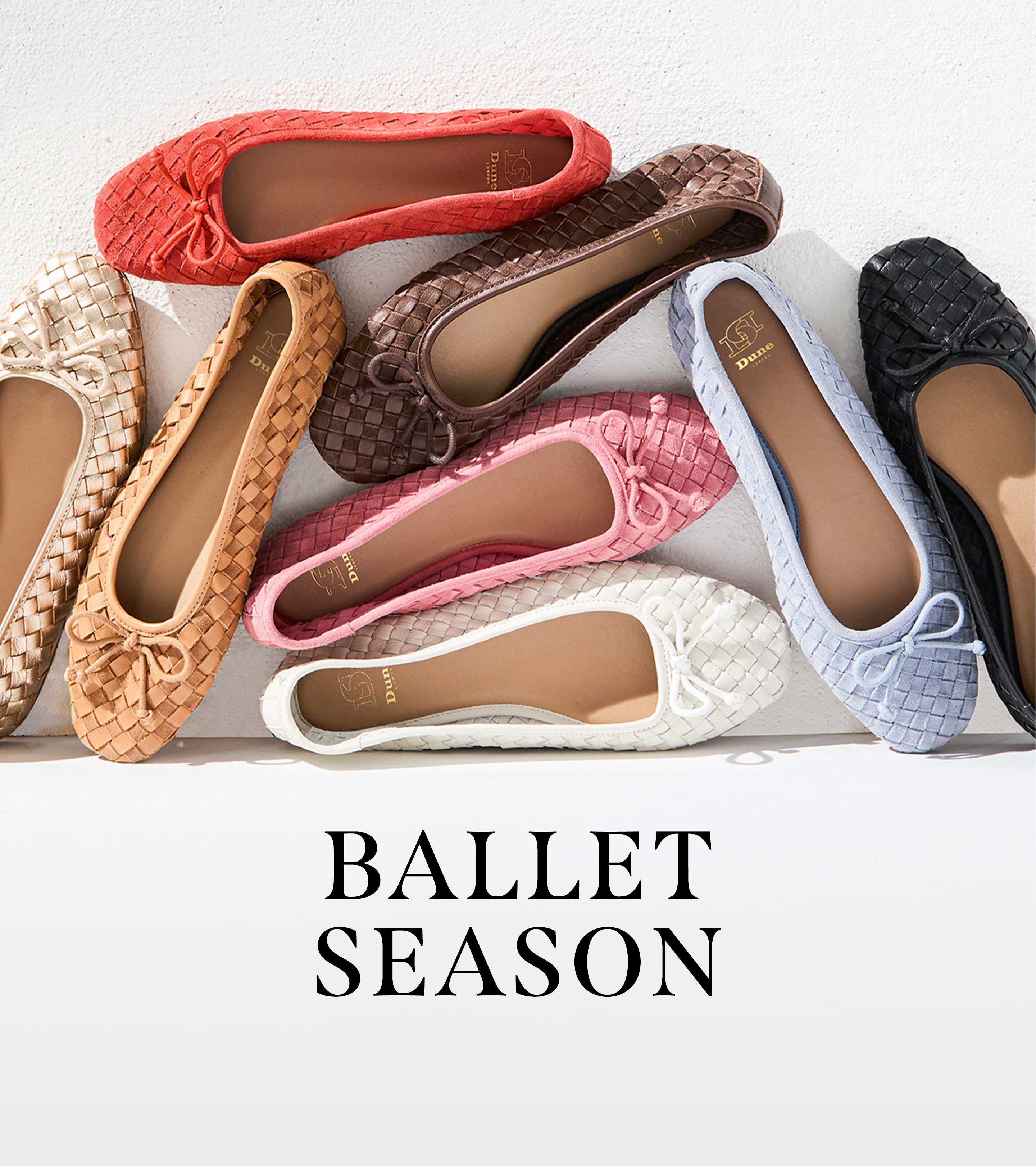 ballet flats featuring a range of different coloured styles including brown, blue, pink and black