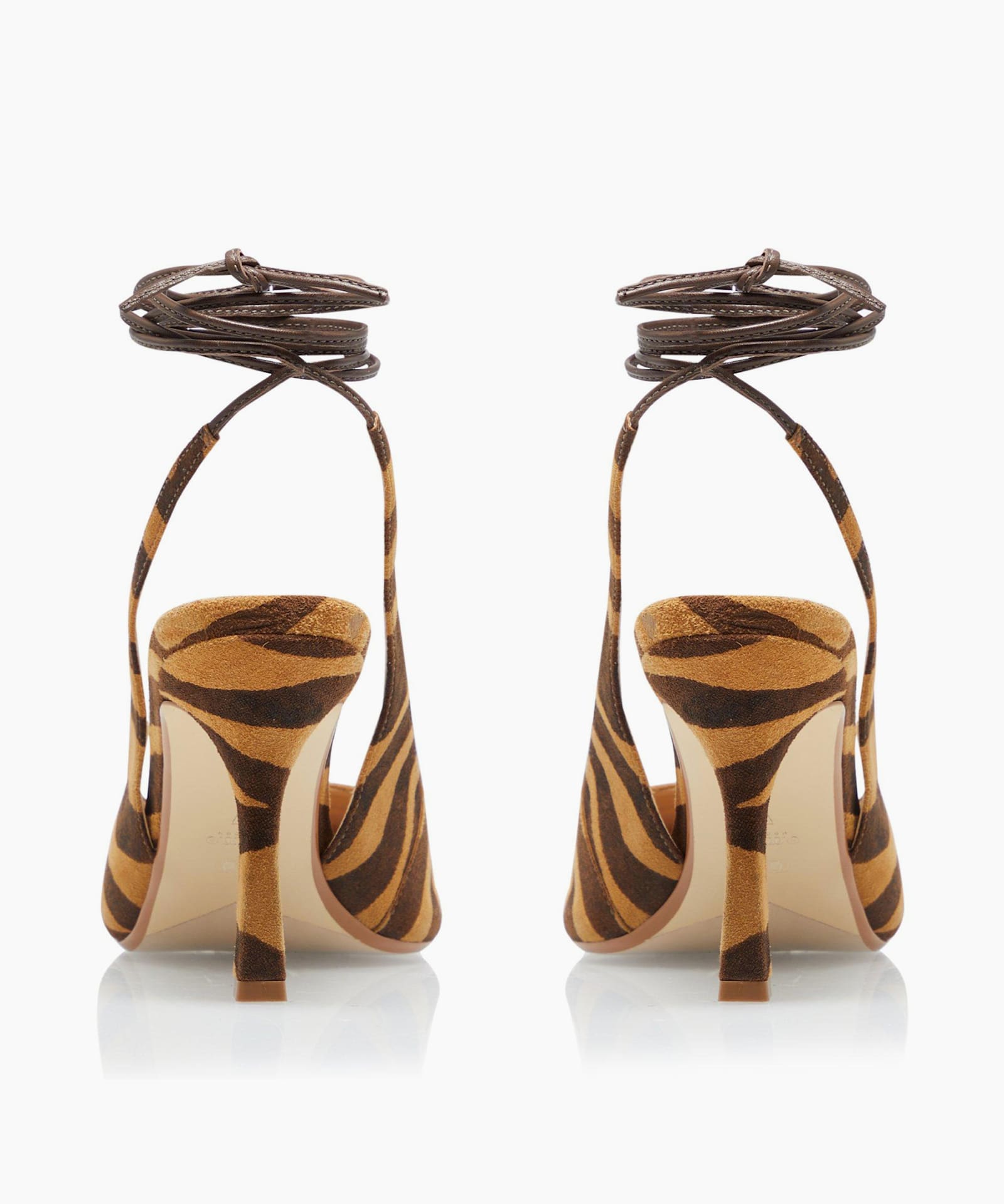 Cirque, Zebra, large