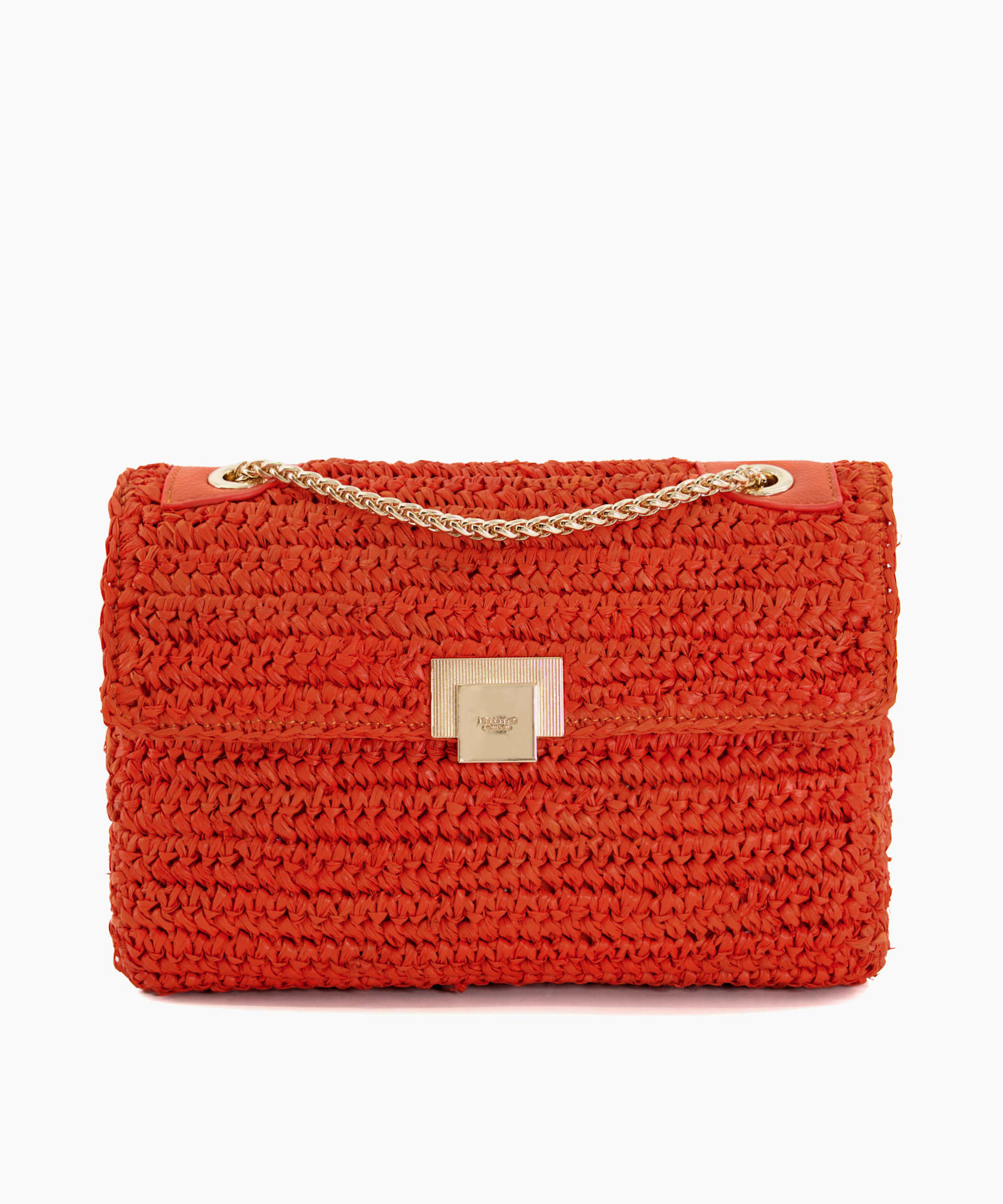 Dorchesters, Orange, large