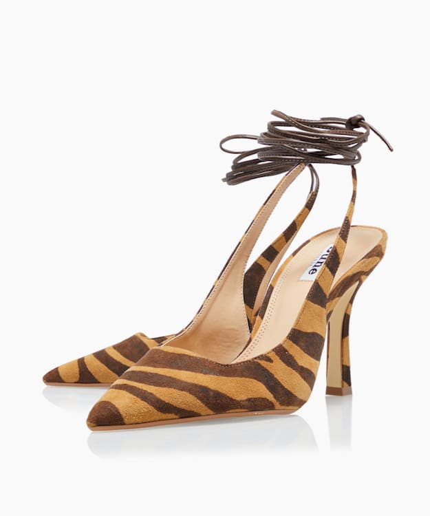 Cirque, Zebra, medium