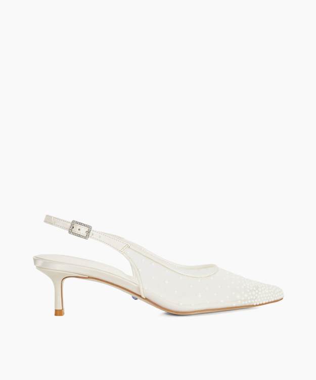 Companionship - Ivory