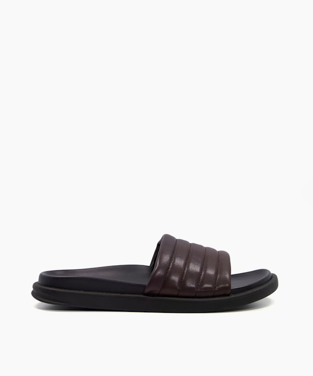 Image - Brown