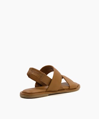 Laude, Camel, small