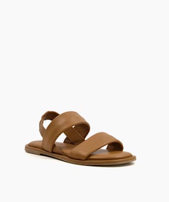 Laude, Camel, small